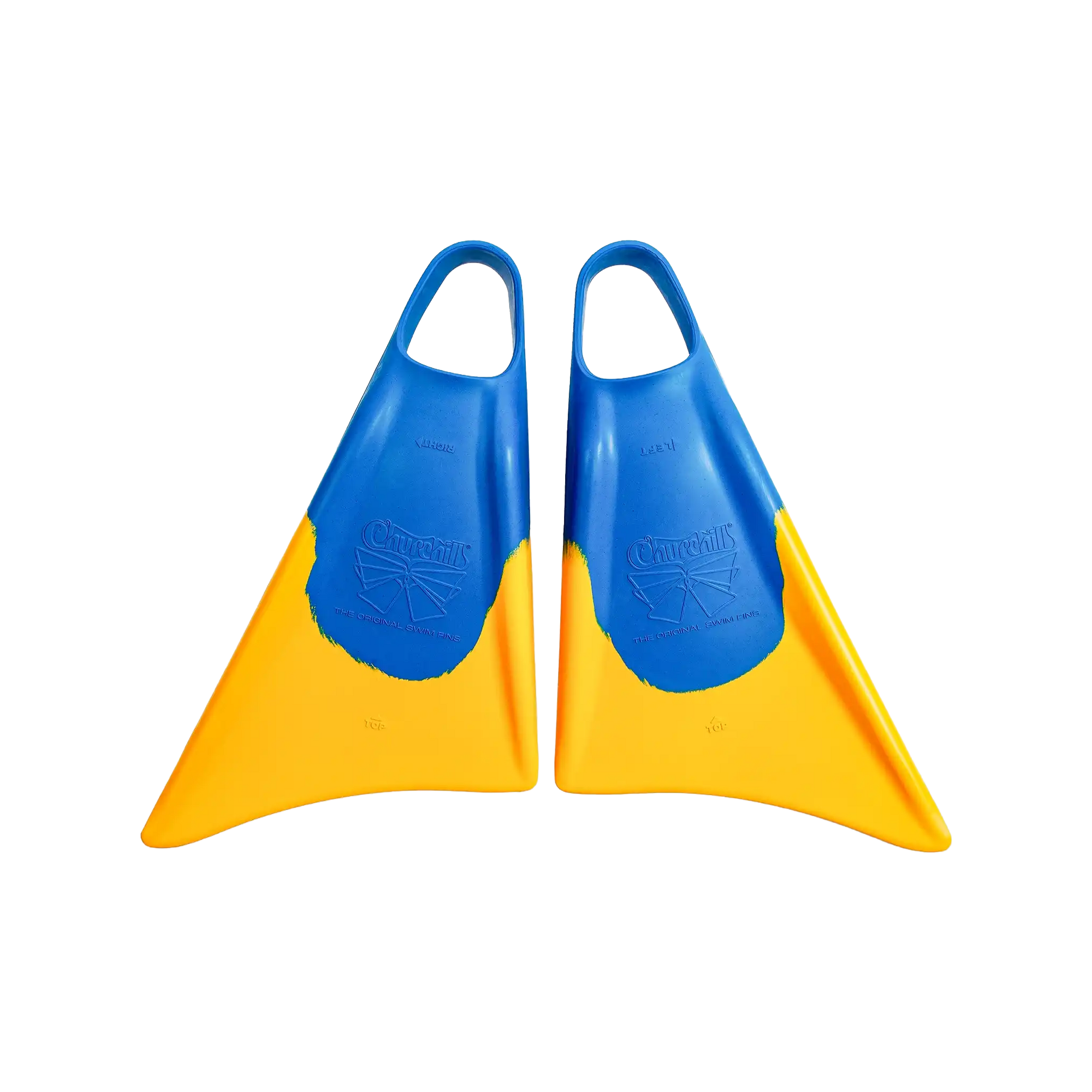 CHURCHILL_FINS_BLUE_GOLD